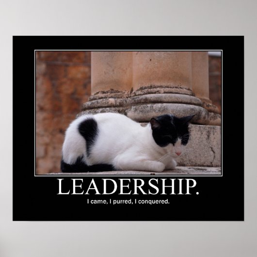Leadership Cat Artwork Poster (Voorkant)