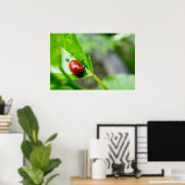Leaf Beetle on Plant Poster (Thuiskantoor)