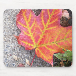 Leaf Bliss Mousepad Muismat