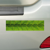 Leaf Bumpersticker (Op auto)
