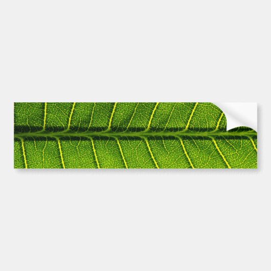 Leaf Bumpersticker (Voorkant)