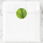 Leaf close-up ronde sticker (Tas)