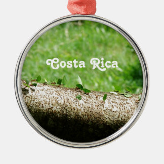 Leaf Cutter Ants in Costa Rica Metalen Ornament