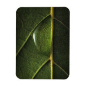 Leaf druplets magneet (Verticaal)