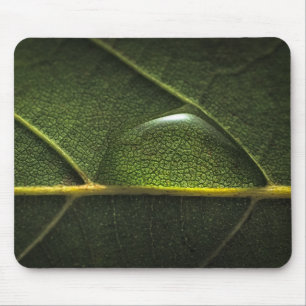 Leaf druplets muismat
