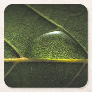 Leaf druplets vierkante kartonnen onderzetter