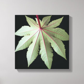 Leaf en Stem Canvas Afdruk