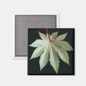 Leaf en Stem Magneet (Voorkant / Achterkant)