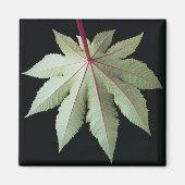 Leaf en Stem Magneet (Voorkant)