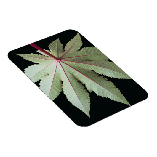 Leaf en Stem Magneet (Rechterzijde)