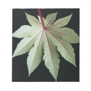 Leaf en Stem Notitieblok