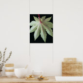 Leaf en Stem Poster (Keuken)