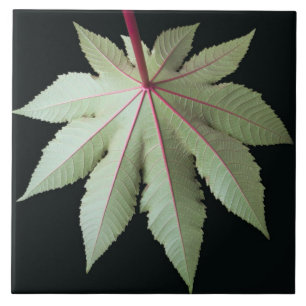 Leaf en Stem Tegeltje