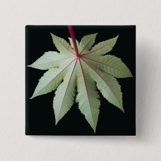 Leaf en Stem Vierkante Button 5,1 Cm