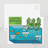 Leaf & Fin: Stikstofcyclus Infografisch Briefkaart (Voorkant / Achterkant)