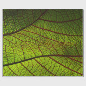 Leaf macro veins leaf veins green cadeaupapier (Vlak)