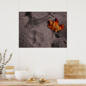 Leaf Next to Mountain Lion Footprint Poster (Keuken)