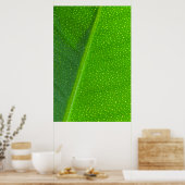 Leaf Poster (Keuken)