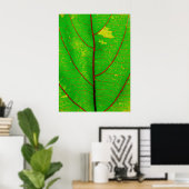 Leaf Poster (Thuiskantoor)