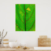 Leaf Poster (Keuken)