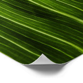 Leaf Poster (Hoek)