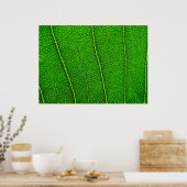 Leaf Poster (Keuken)