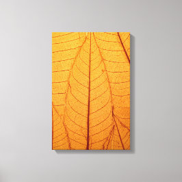 Leaf Print