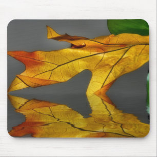 Leaf Reflection Mousepad Muismat