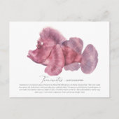 Leaf Scorpion Fish Briefkaart (Voorkant)