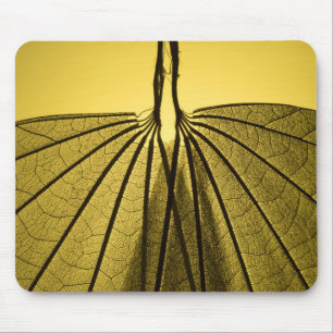 Leaf Skeleton Muismat