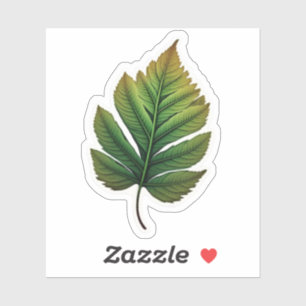 " leaf sticker " - bladpapier voor de sticker mari