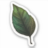 " leaf sticker png " " sticker " : " leaf st (Voorkant)