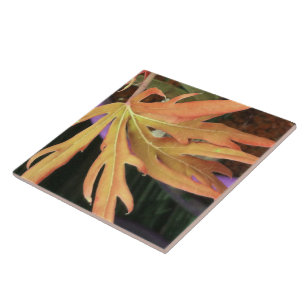 Leaf Study 2 Tegeltje