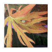 Leaf Study 2 Tegeltje (Voorkant)