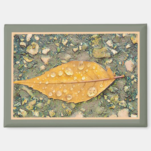LEAF WITH RAINDROPS Magnet (Recto)