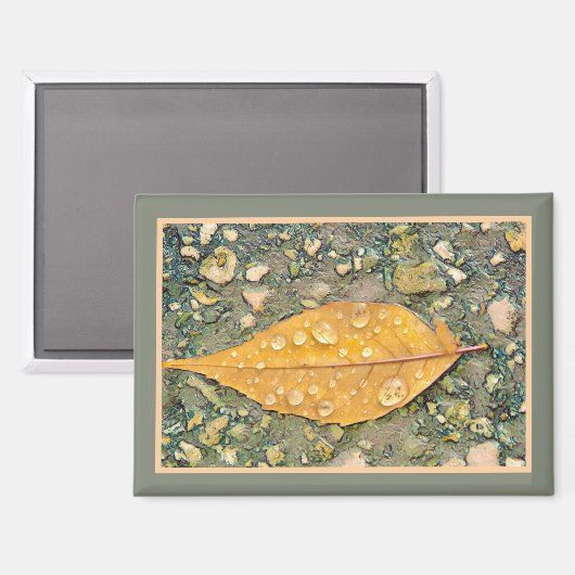 LEAF WITH RAINDROPS Magnet (Recto/Verso)