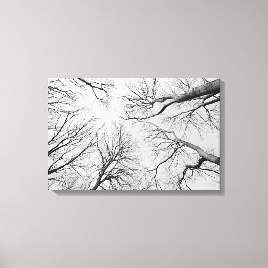 Leafless Trees in Thiepval Wood Canvas Afdruk (Voorkant)