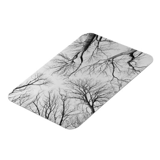 Leafless Trees in Thiepval Wood Magneet (Linkerzijde)