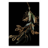 Leafy Botanical Eucalyptus Modern Premium Black Kaart (Achterkant)