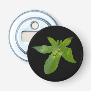 Leafy Haven: een kleine groene kikker op een druiv Button Flesopener