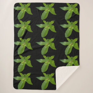 Leafy Haven: een kleine groene kikker op een druiv Sherpa Deken