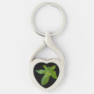 Leafy Haven: een kleine groene kikker op een druiv Sleutelhanger