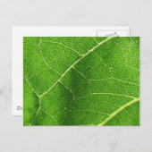 Leafy Labyrinth Briefkaart (Voorkant / Achterkant)