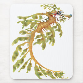 Leafy Seadragon Muismat