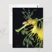 Leafy Zee Dragon Briefkaart (Voorkant / Achterkant)