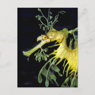 Leafy Zee Dragon Briefkaart