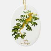 Leafy Zee Dragon Ornament (Achterkant)