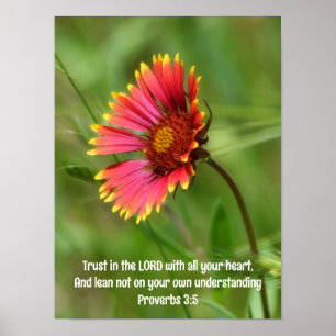 Leaning Firewheel Wildflower en Bijbel Verse Poster