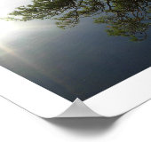 Leaning Pine: Friar's Crag, Derwentwater Poster (Hoek)