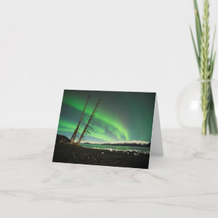 Leaning Tree Aurora Kaart